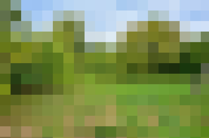  / #11