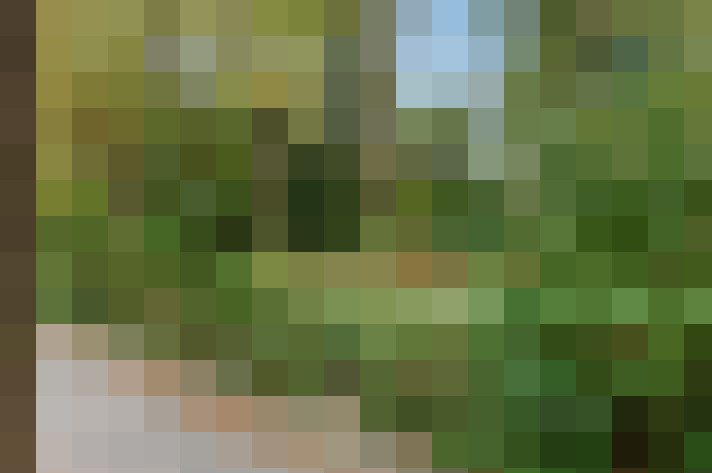  / #16