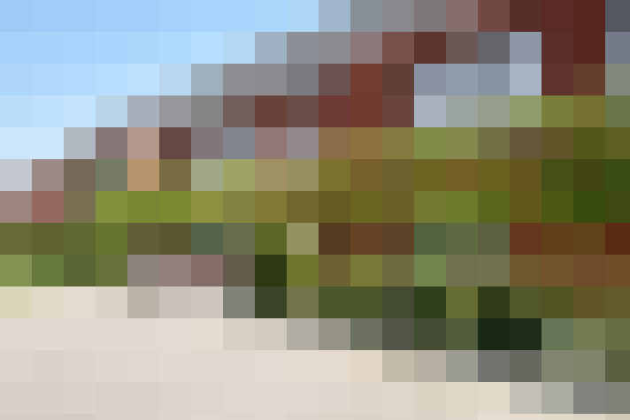  / #13