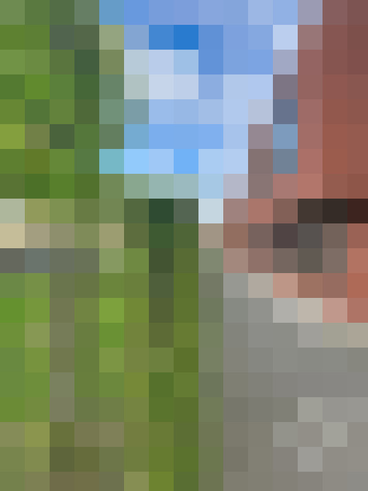  / #15