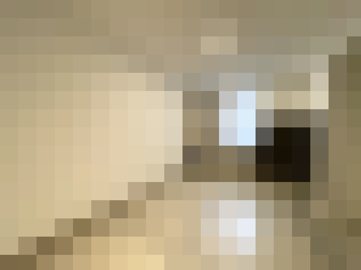  / #19