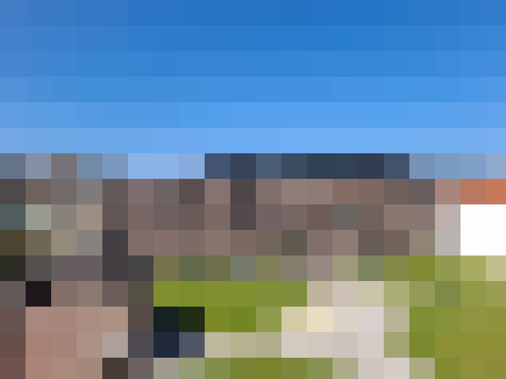  / #11