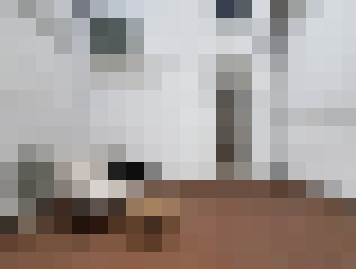  / #8