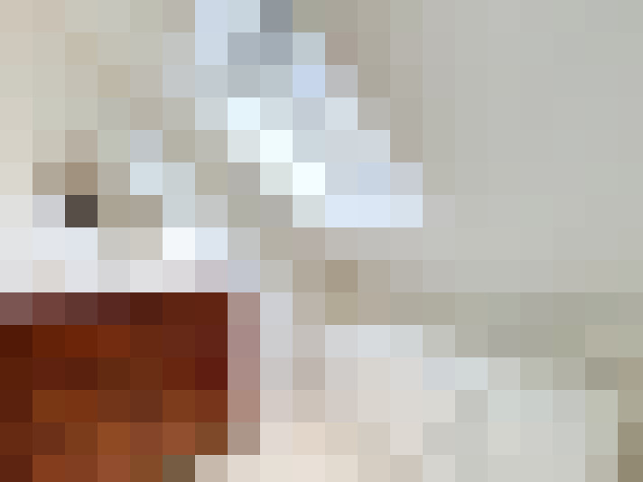  / #19
