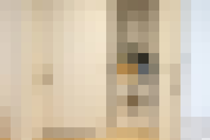  / #8
