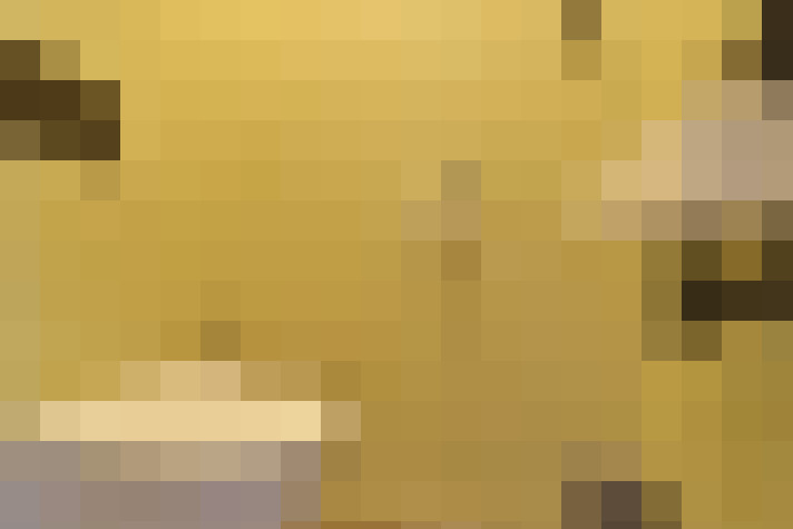  / #13