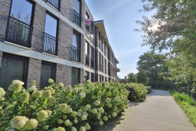 Appartement in Beveren-Kruibeke-Zwijndrecht