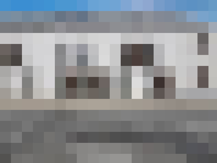  / #19