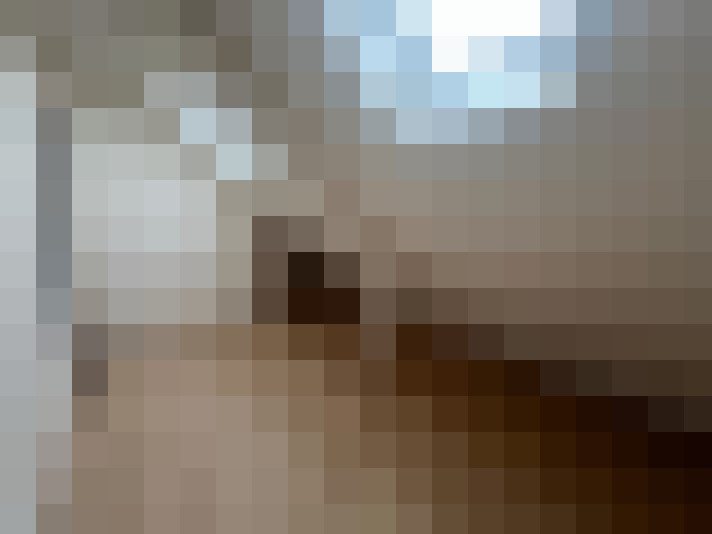  / #17