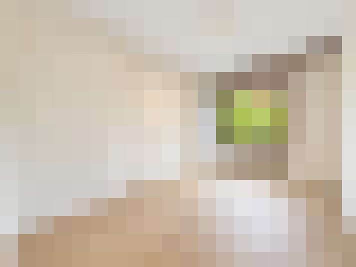  / #33