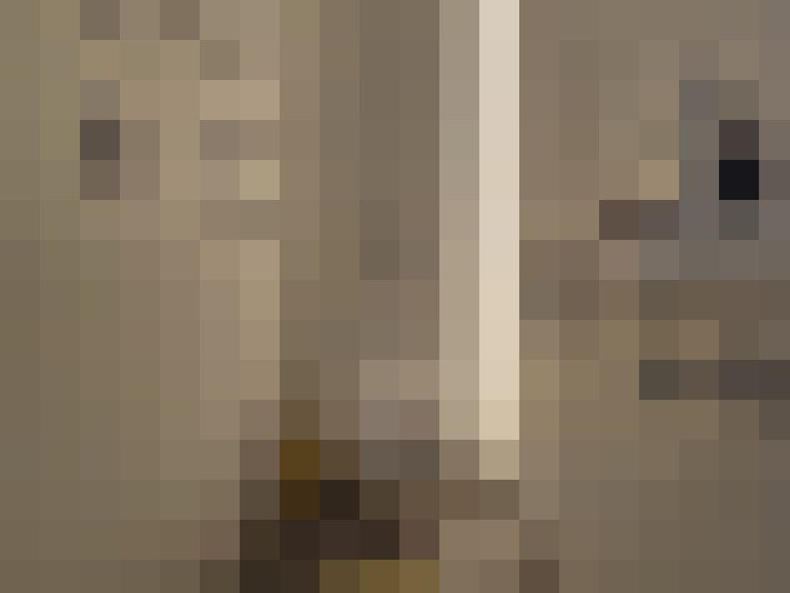  / #23