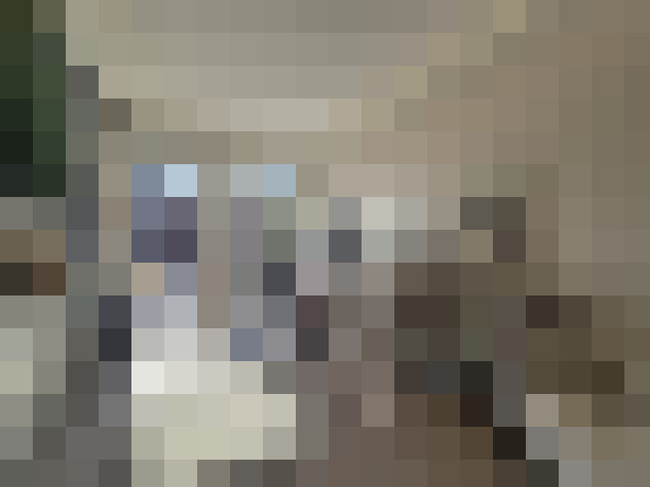  / #17