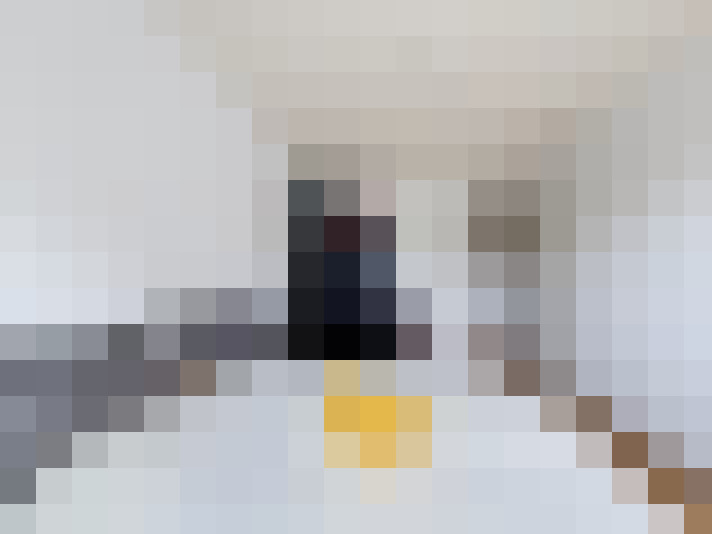  / #8