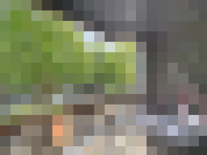  / #14