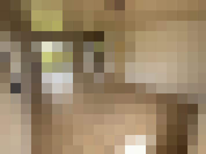  / #6