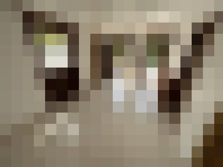  / #16