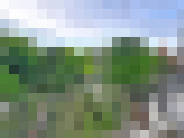  / #16