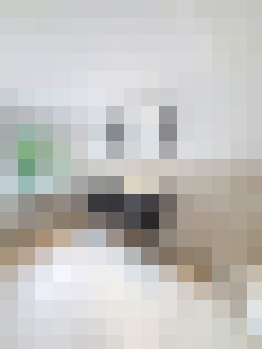  / #21
