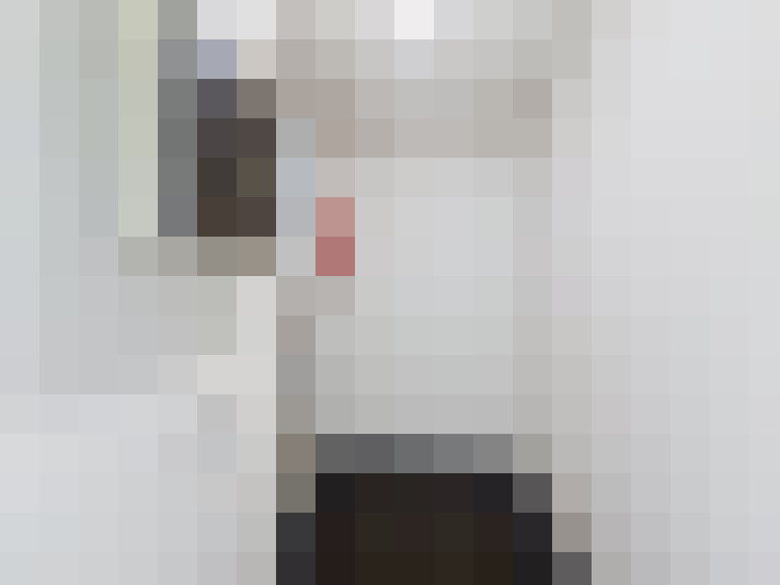  / #11
