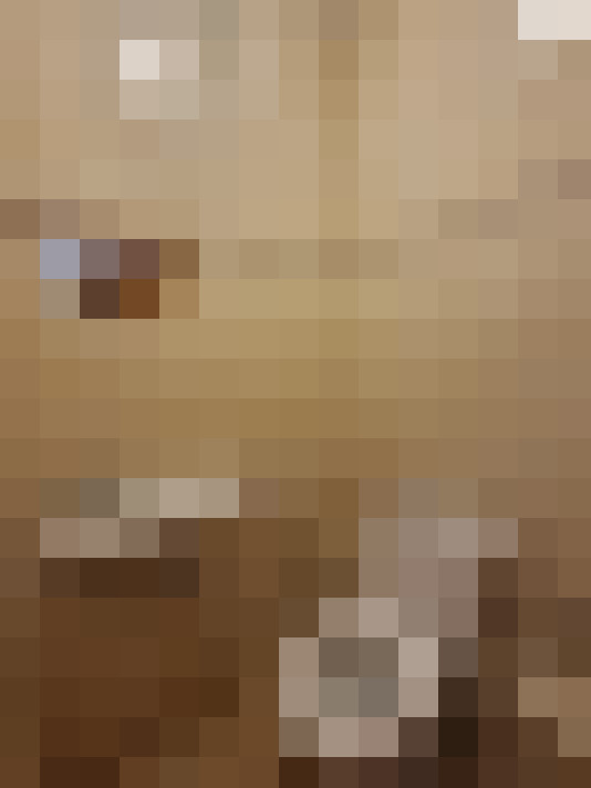  / #11