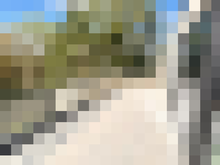  / #11