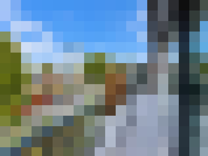  / #11