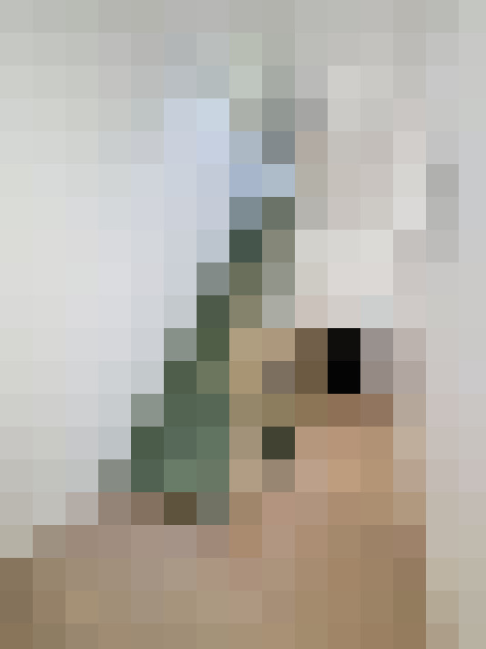  / #23