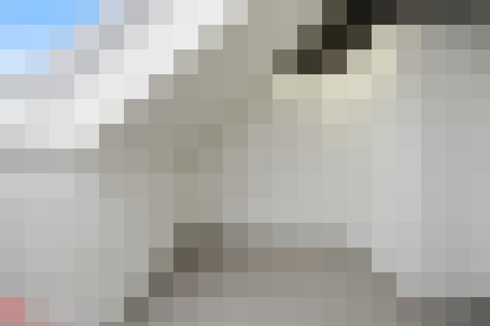  / #18