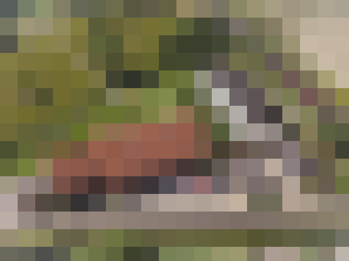  / #16