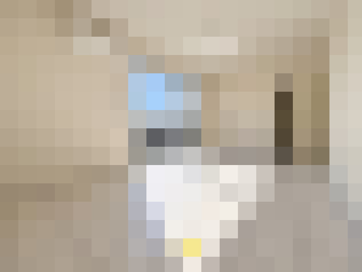  / #14