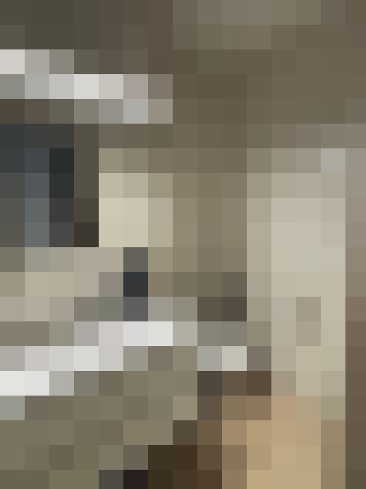  / #17