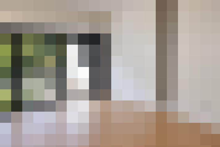  / #15