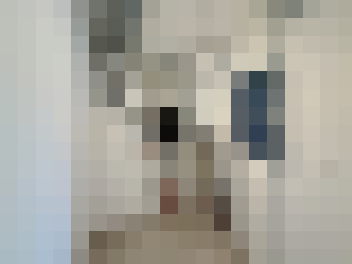  / #14