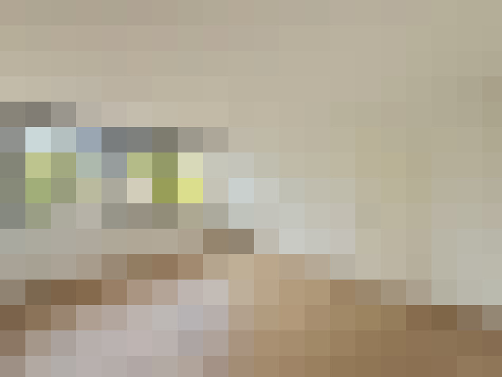  / #11