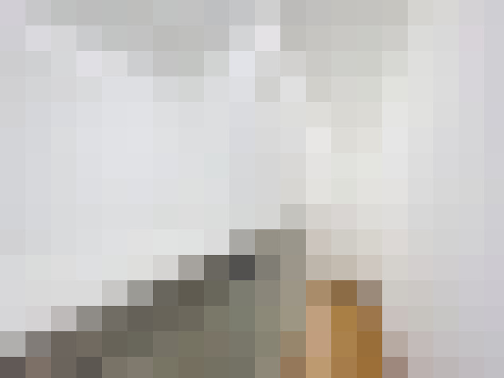  / #16