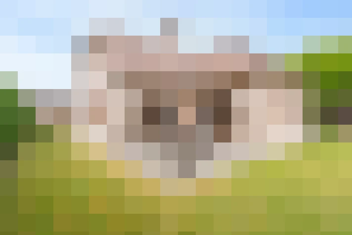  / #17