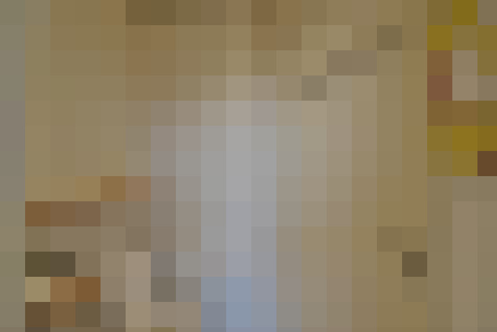  / #11