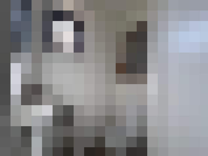  / #16