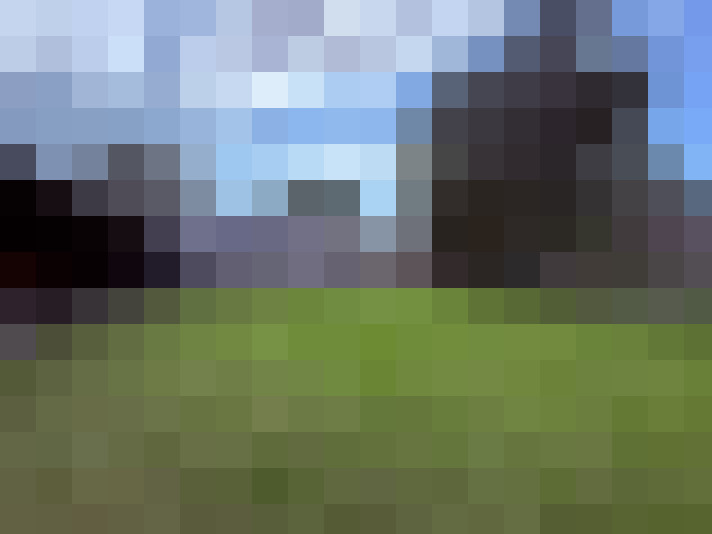  / #15