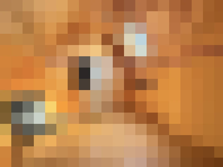  / #19