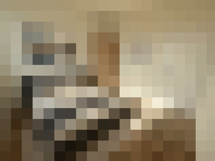  / #17
