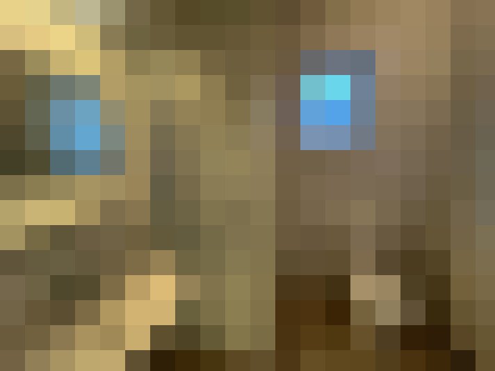  / #6
