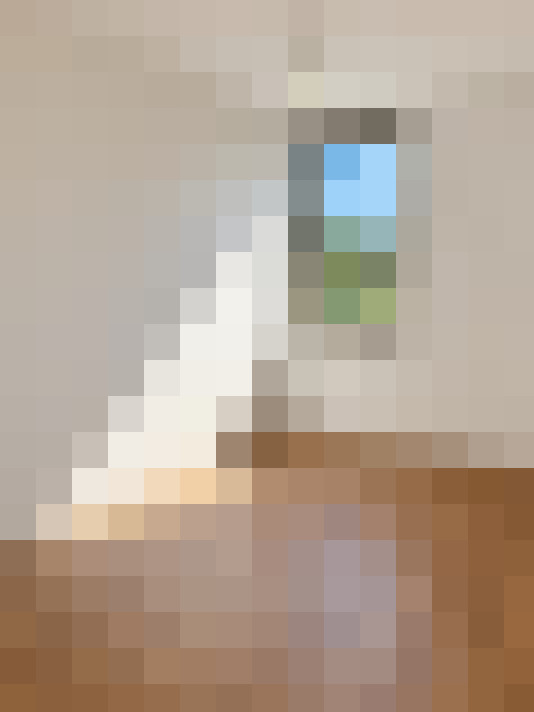  / #14