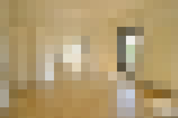  / #15