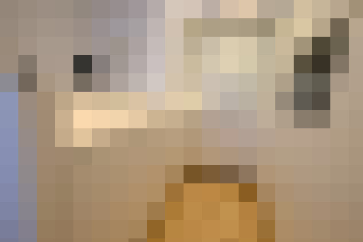  / #19