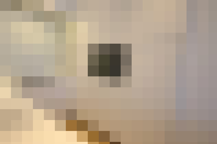  / #20