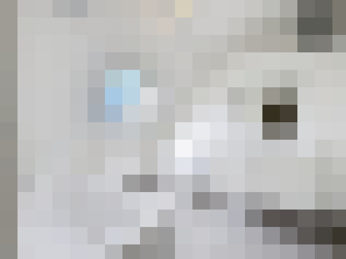  / #20