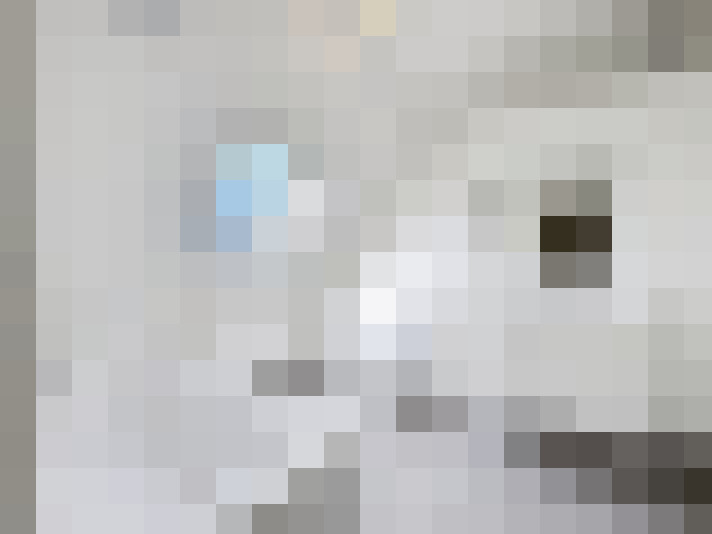  / #19