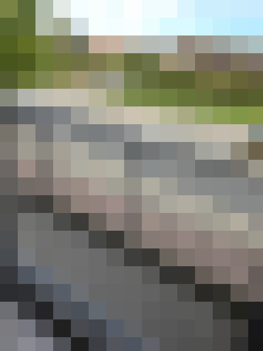  / #14
