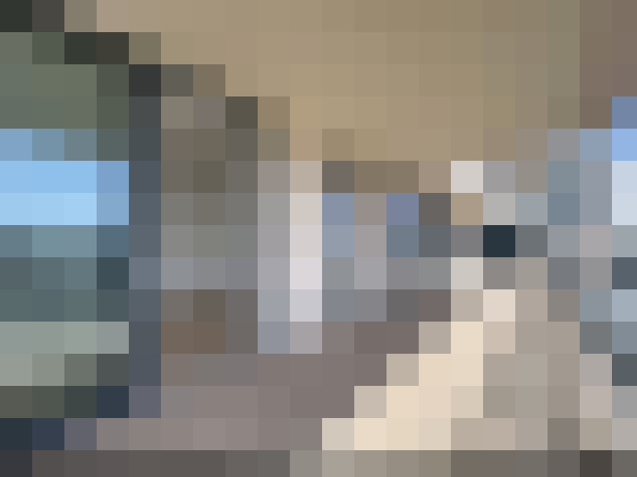  / #20